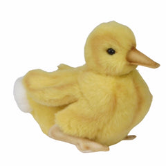Duckling Teddy