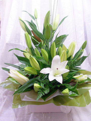 BA016 Arrangement